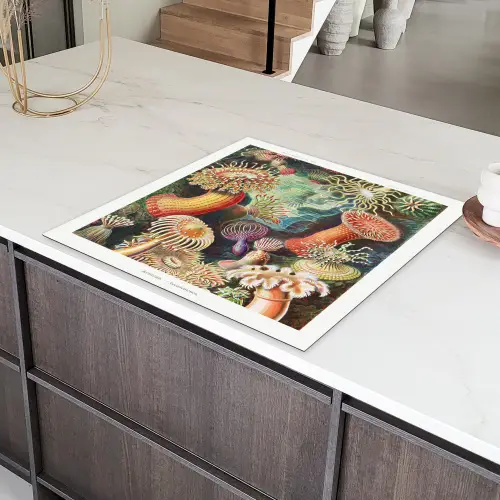 Ernst Haeckel - Anemoon - Retro - Natuur - Planten - Zee Inductie beschermer vinyl 3mm middel -sfeer8