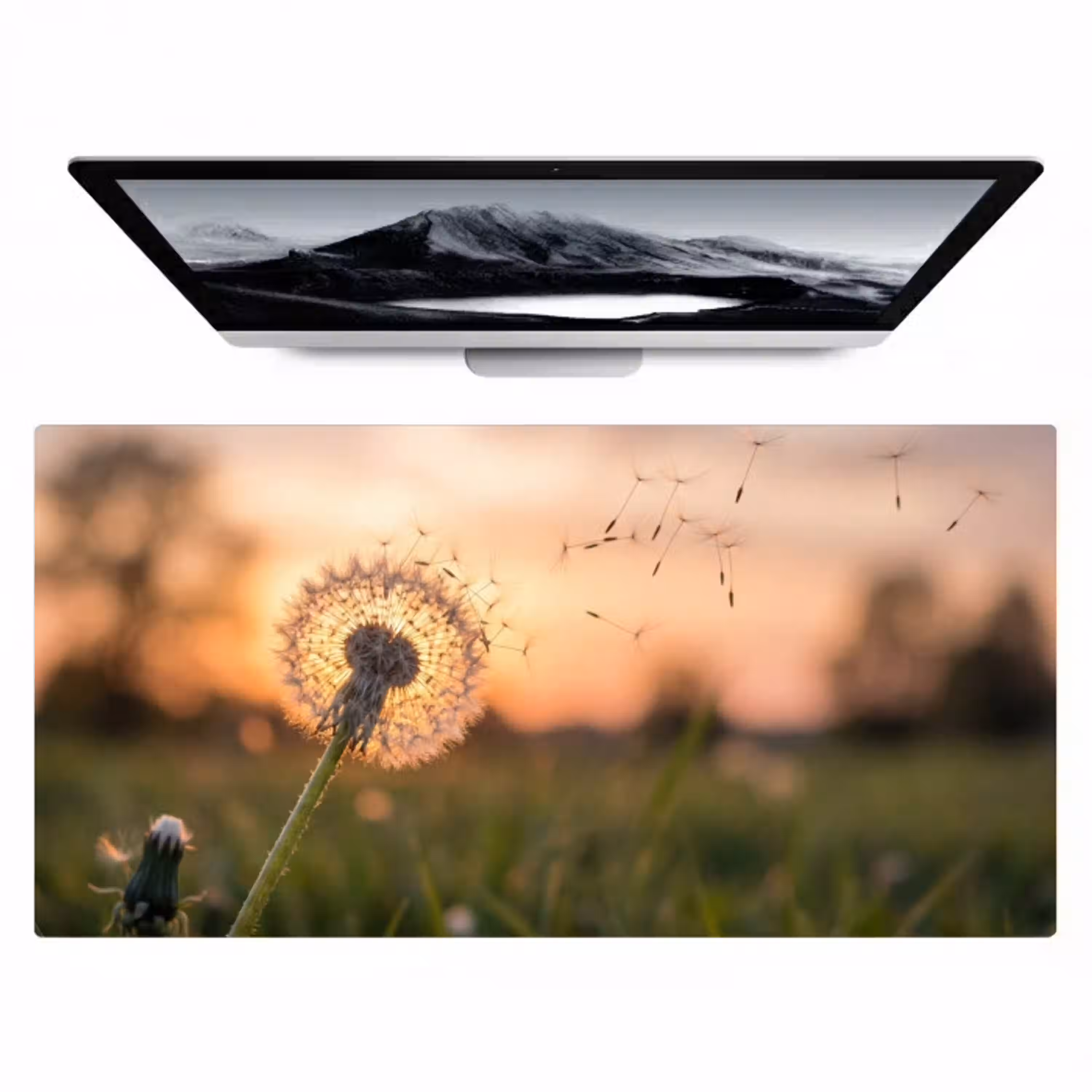 Paardenbloem - Zonsondergang - Veld Muismat XXL klein -zzz3d