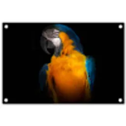 Dieren - Papegaai - Vogel tuinposter los doek klein -3d
