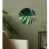 Bladeren - Tropisch - Jungle Wandcirkel plexiglas klein -sfeer3