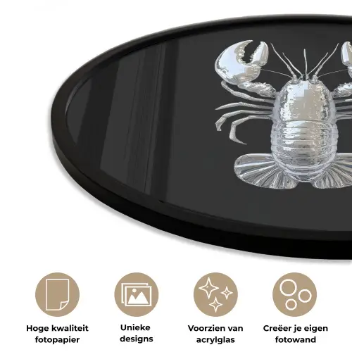 Kreeft - Zilver - Metallic - Luxe Fotolijst rond zonder passe partout klein -closeup_NL