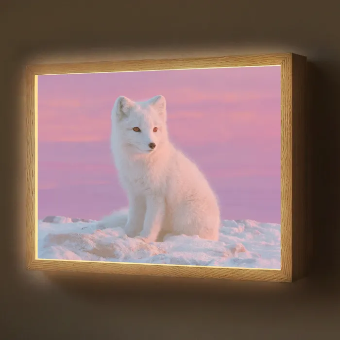 Poolvos - Sneeuw - Roze Light Box met batterij (Wandlamp) middel -z3d_website