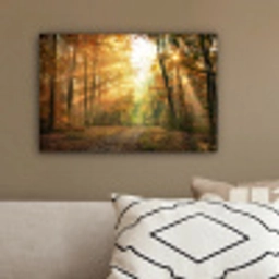 Bos - Herfst - Zon - Landschap - Natuur - Bomen - Bladeren canvas 2cm klein -sfeer3