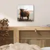 Schotse hooglander - Dieren - Landelijk - Landschap - Koe - Natuur plexiglas 5mm klein -sfeer4