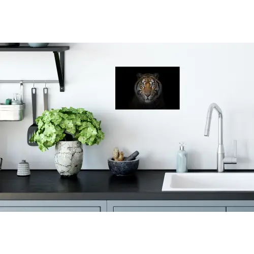 Tijger - Wilde dieren - Portret - Zwart - Dieren Muursticker klein -keuken