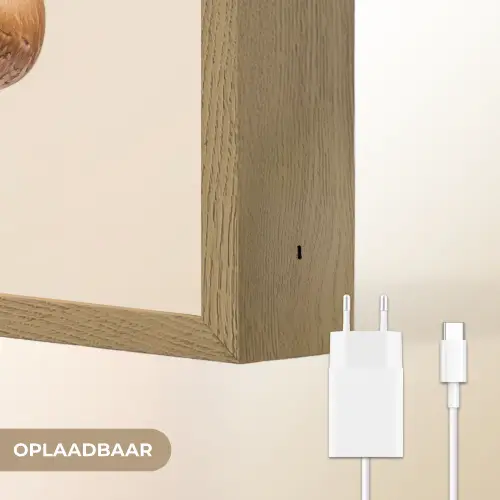 Champignons - Zacht - Beige Light Box met batterij (Wandlamp) middel -USP_websiteoplaadbaarNL