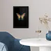 Vlinder - Kleurrijk - Speels fotolijst zwart zonder passe partout klein -sfeer4