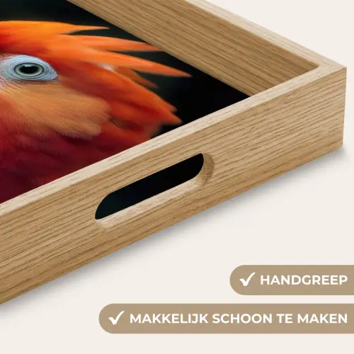 Close-up - Papegaai - Veren - Oranje Dienblad Rechthoek middel -USP_HandgreepNL