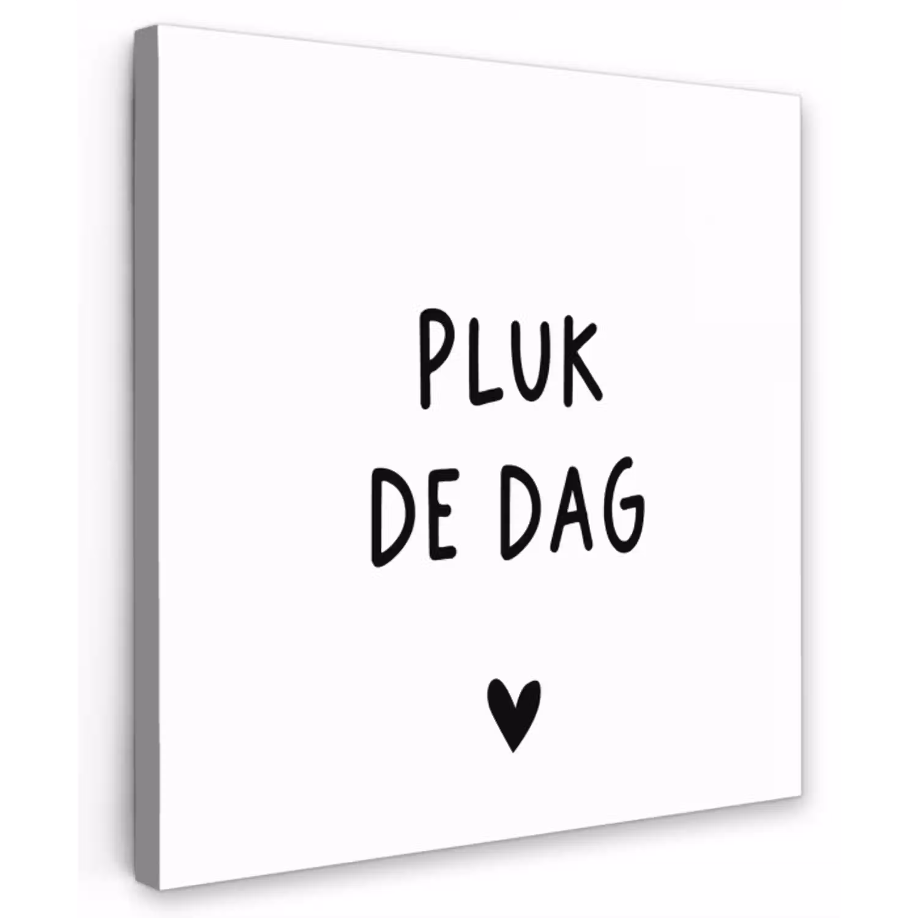 Spreuken - Quotes - Pluk de dag - Carpe diem Tuinposter op houten frame 2 cm dik klein -3d