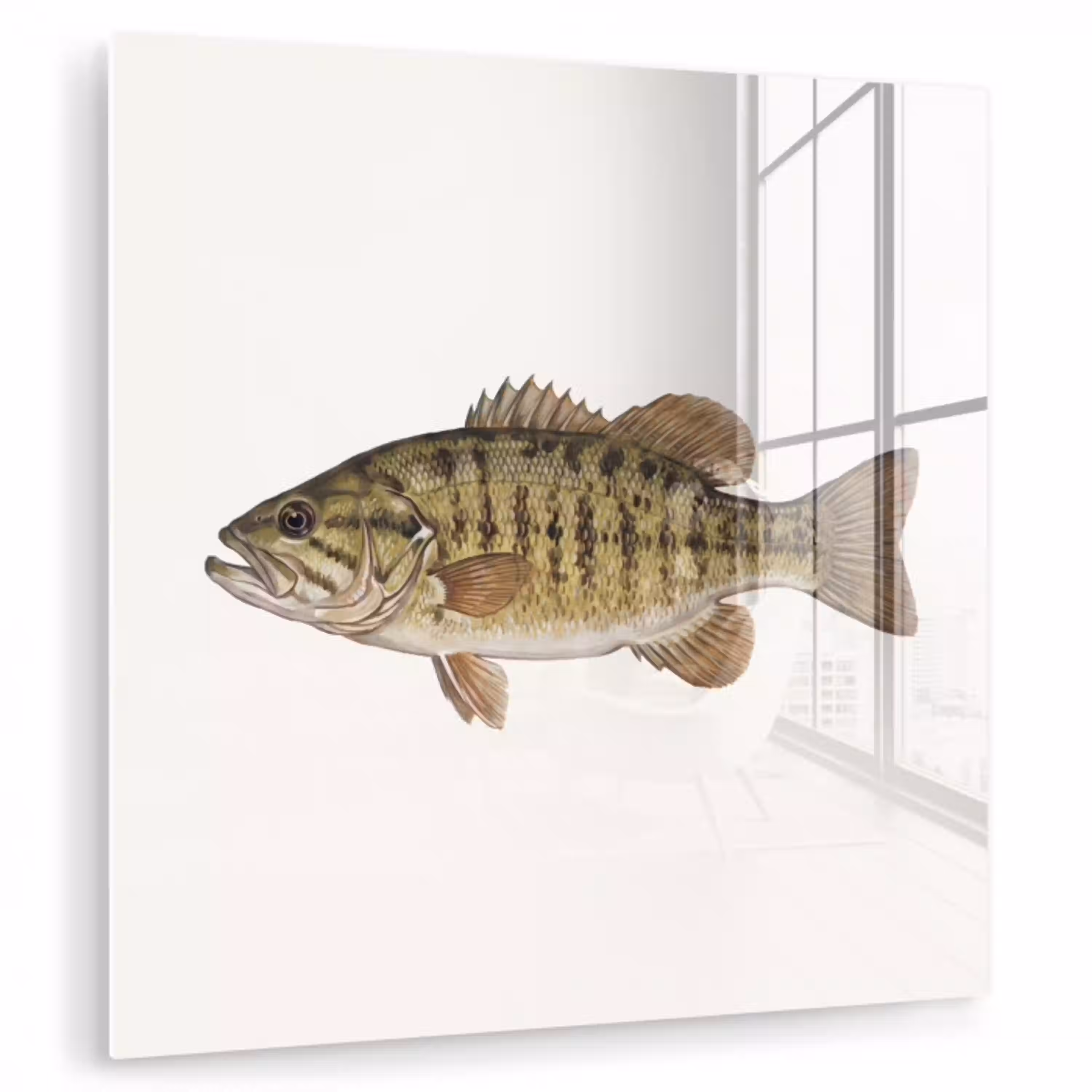 Vissen - Natuur - Vintage plexiglas 5mm klein -zzzproduct_nieuw