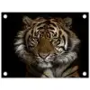 Tijger - Wilde dieren - Portret tuinposter los doek klein -3d