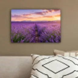 Lavendel - Veld - Natuur - Paars canvas 2cm klein -sfeer3
