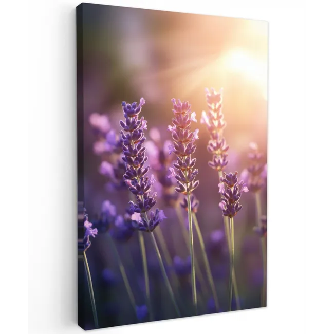 Lavendelbloemen - Paars - Zonlicht Tuinposter op houten frame 2 cm dik klein -3d