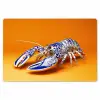 Kreeft - Delftsblauw - Schild - Stoer - Oranje Placemat vinyl groot -zzsfeer1_Kitchenyeah-website