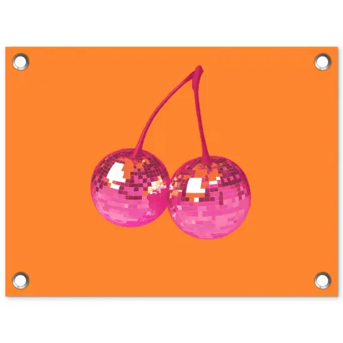 Discoballen - Kers - Spiegels - Roze tuinposter los doek klein -3d