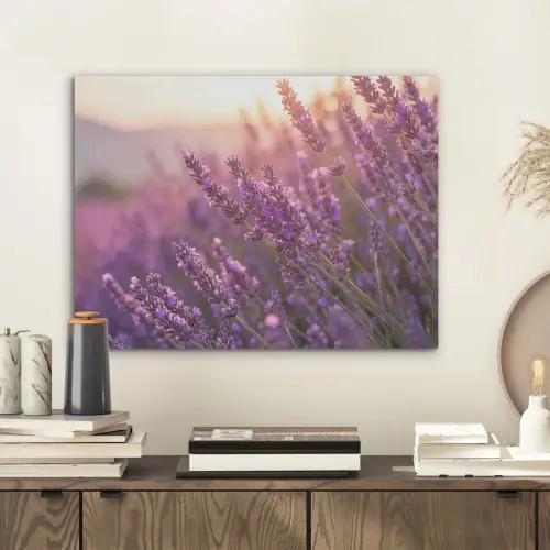 Lavendel - Paars - Zonlicht PET vilt klein -sfeer1