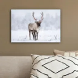Rendier - Gewei - Toendra - Sneeuw - Wild canvas 2cm klein -sfeer3