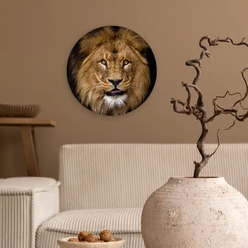 Leeuw - Portret - Zwart - Dieren Wandcirkel kunststof plaat 5mm dik klein -sfeer1