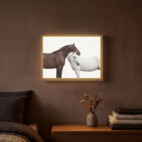 Paard - Modern - Balans Light Box met batterij (Wandlamp) middel -sfeer4