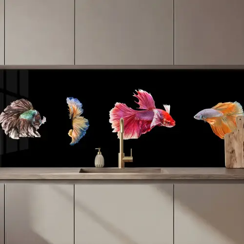 Vissen - Kleurrijk - Dieren keuken achterwand 2 middel zz_3dshopping