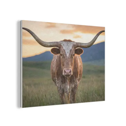 Longhorn - Landschap - Zonsondergang PET vilt klein -3d