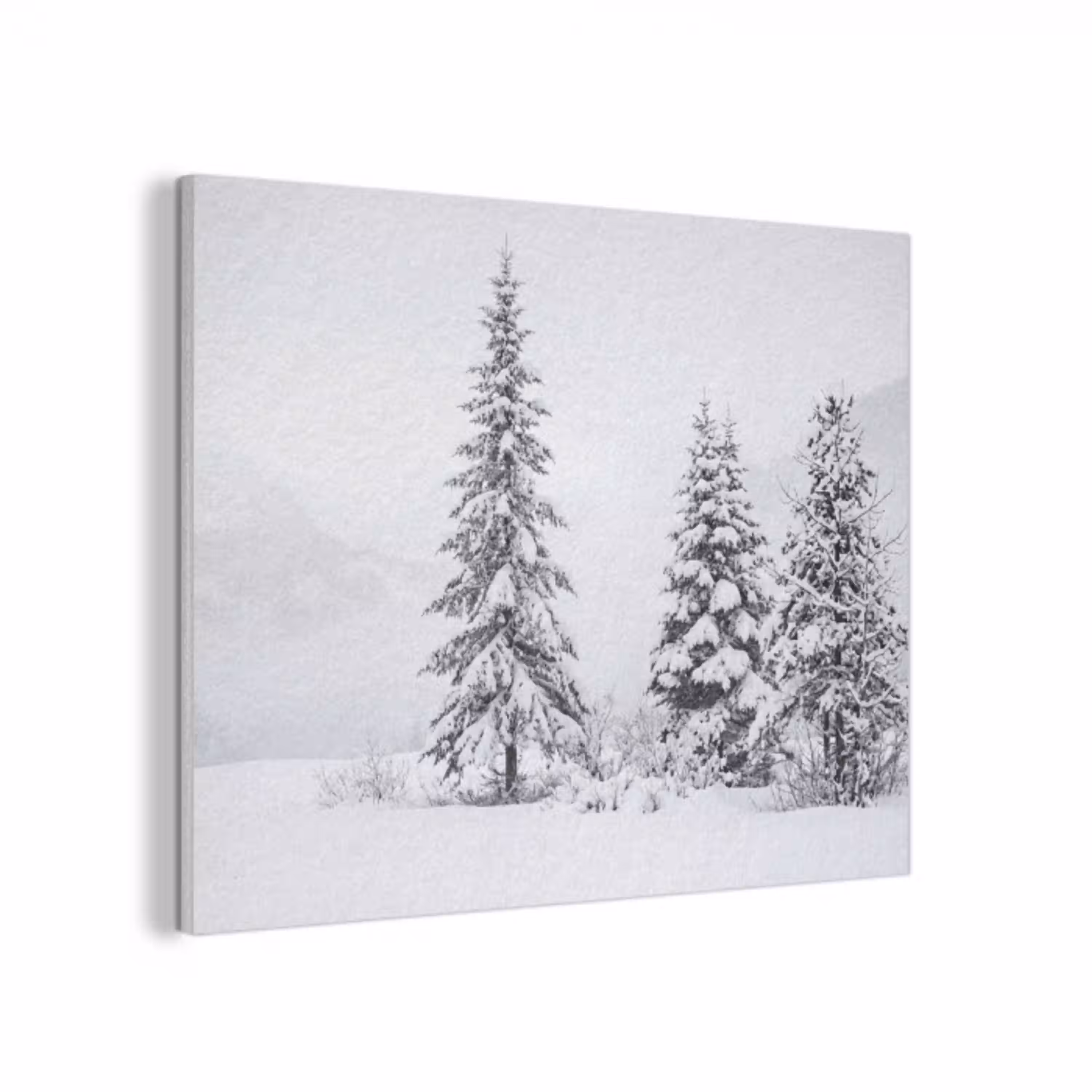 Fijnsparren - Sneeuw - Winter - Landschap - Stilte PET vilt klein -3d