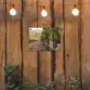 Druiven - Wijngaard - Zonlicht tuinposter los doek klein -sfeer1