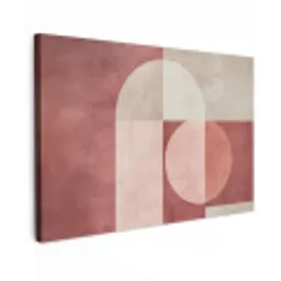 Figuren - Abstract - Roze Tuinposter op houten frame 2 cm dik klein -3d