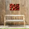 Aardbei - Fruit - Rood Tuinposter op houten frame 2 cm dik klein -sfeer4