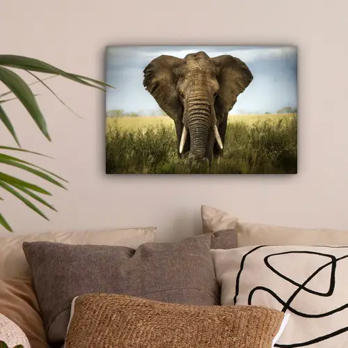 Olifant - Natuur - Gras - Dieren - Landschap canvas 2cm klein -sfeer1