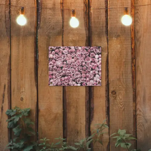 Bloemen - Rozen - Natuur - Roze - Botanisch tuinposter los doek klein -sfeer1