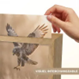 Buizerd - Roofvogel - Natuur - Bruin Light Box met kabel (Kinderlampje) klein -USP_websiteprintFR