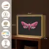 Vlinder - Roze - Nachtvlinder Light Box met batterij (Wandlamp) middel -USP_websiteoverzichtNL