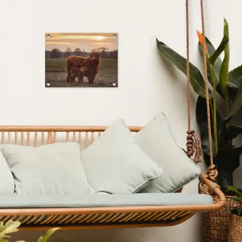 Schotse hooglander - Dieren - Landschap - Zonsondergang - Koe tuinposter los doek klein -sfeer7