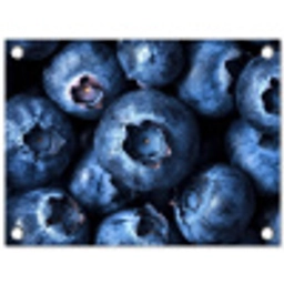 Bessen - Blauw - Fruit tuinposter los doek klein -3d