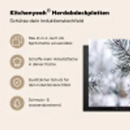 Dennenappel - Tak - Sneeuw - Winter - Sfeervol Inductie beschemer met haakjes klein -ky-usp-de