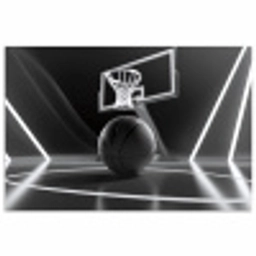 Basketbal - Basketbalveld - Lichtlijnen poster papier klein -3d