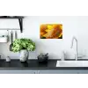 Zonnebloem - Close up - Geel - Quote Muursticker klein -keuken