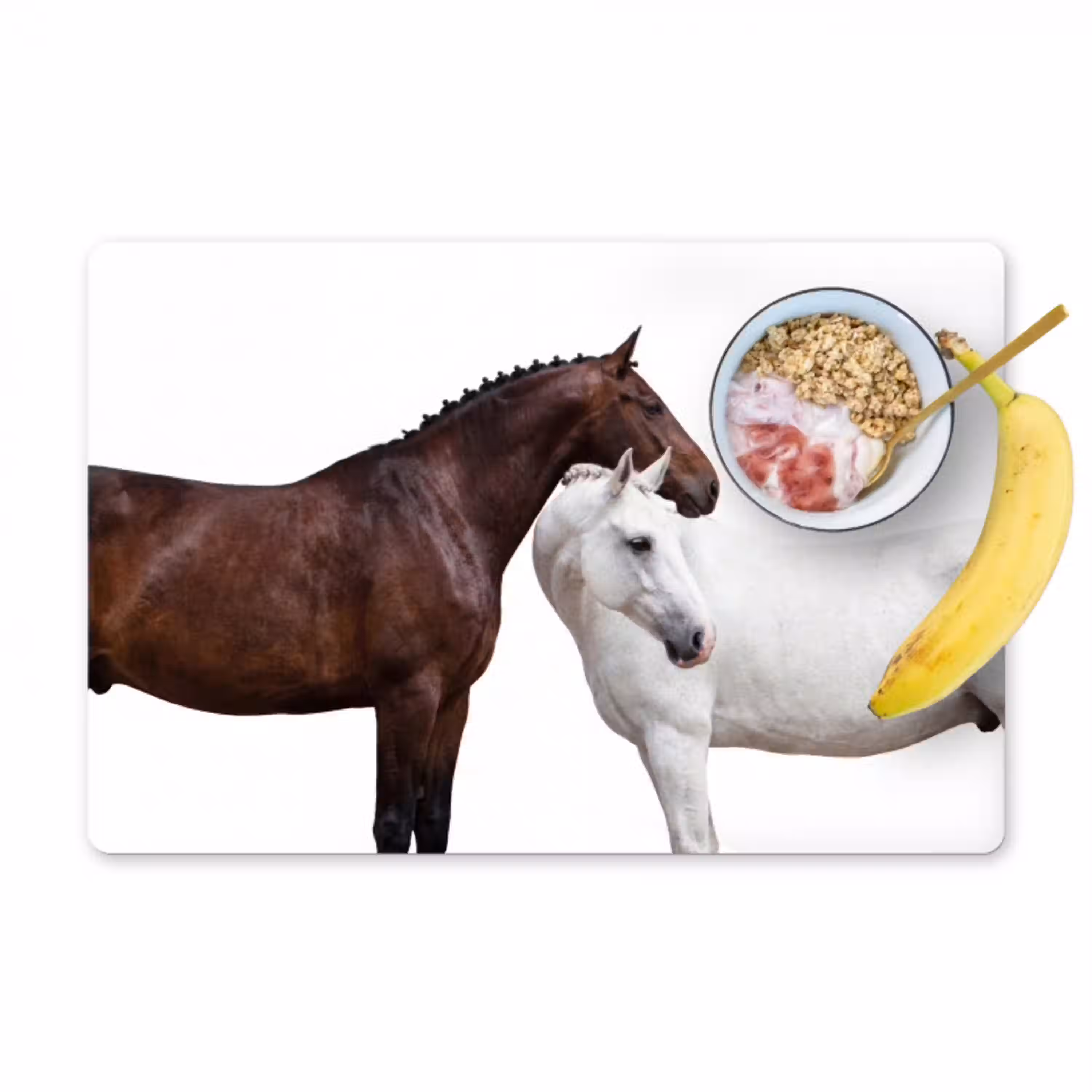Paard - Modern - Balans Placemat vinyl groot -zzzproduct_Kitchenyeah-website