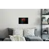 Boeket - Tulpen - Vaas - Rood Muursticker klein -slaapkamer