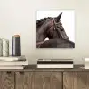Portret - Paard - Elegant aluminium wit klein -sfeer1