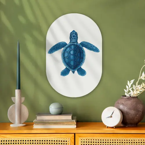 Schildpad - Blauw - Schild Wandcirkel Ovaal Forex klein -sfeer2