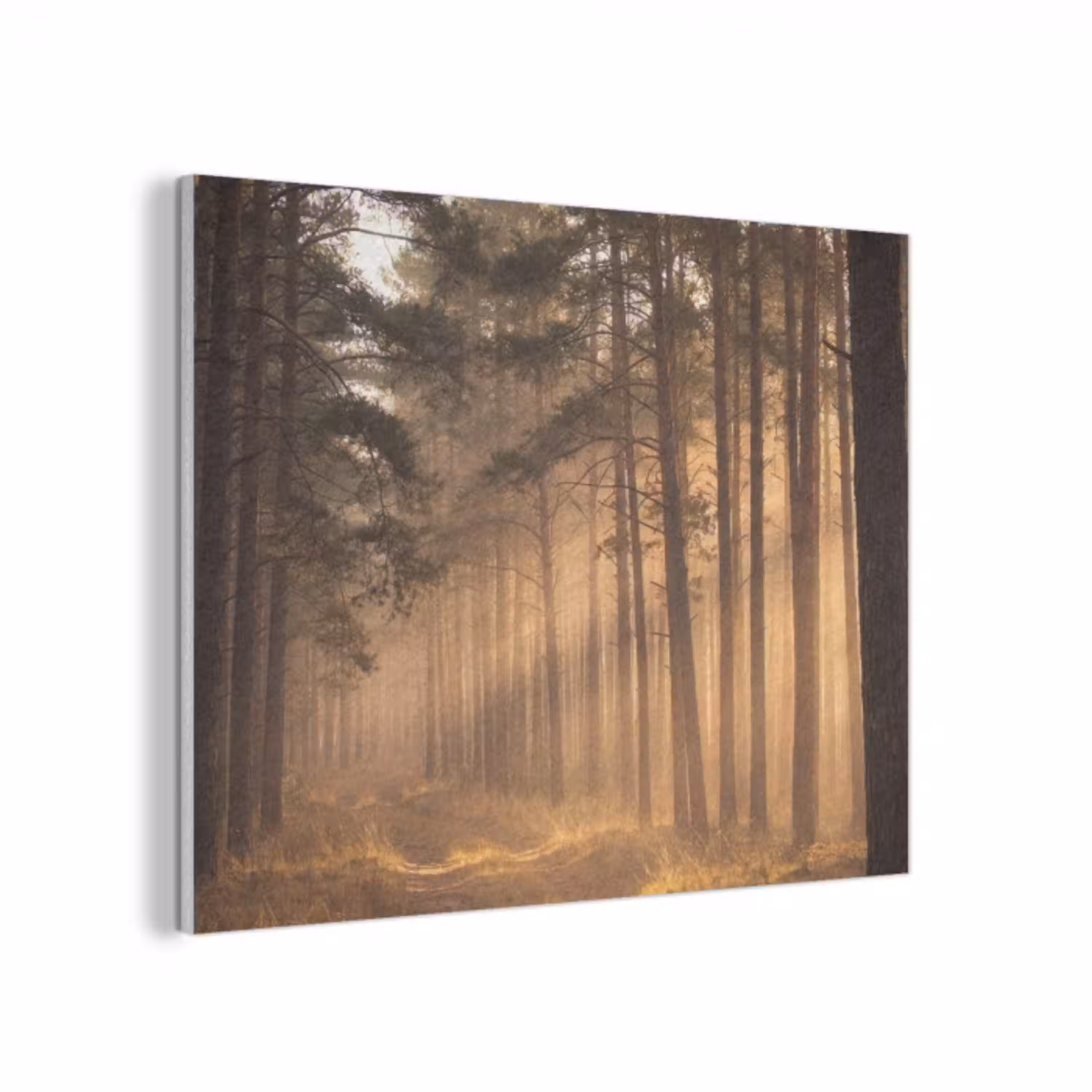 Bos - Mist - Zonlicht PET vilt klein -3d