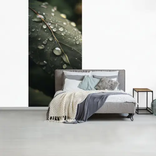 Blad - Groen - Nerven - Regendruppels fotobehang vinyl groot -slaapkamer