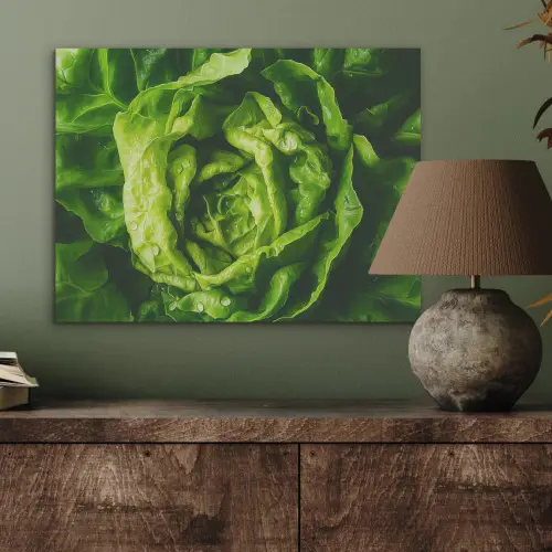 Groente - Sla - Groen PET vilt klein -sfeer2