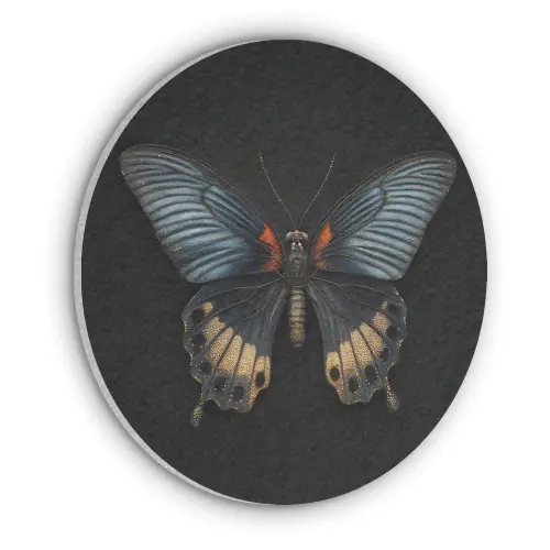 Vlinder - Metaalachtig - Geometrisch patroon Akoestische PET Vilt - Rond klein -3d