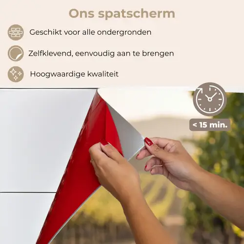 Druiven - Wijngaard - Zonlicht keuken achterwand spatscherm klein -spatscherm_NL