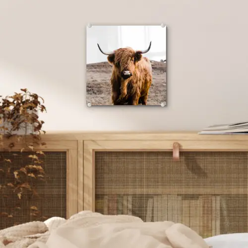 Schotse hooglander - Landschap - Koe - Bruin - Dieren - Natuur plexiglas 5mm klein -sfeer4