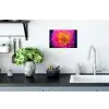 Roze - Dahlia - Kleurrijk Muursticker klein -keuken