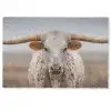 Longhorn - Grasveld - Dier Deurmat klein -zkaufland3d